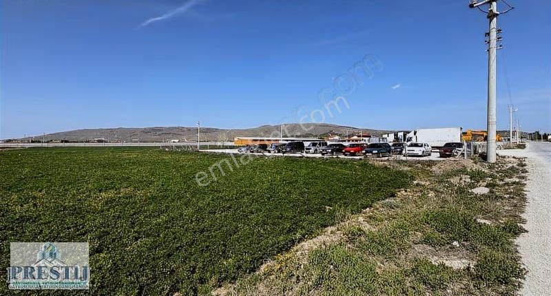 Susuz Kasabasında Bim Depo Karşısında Kiralık Tarla - Görsel 4