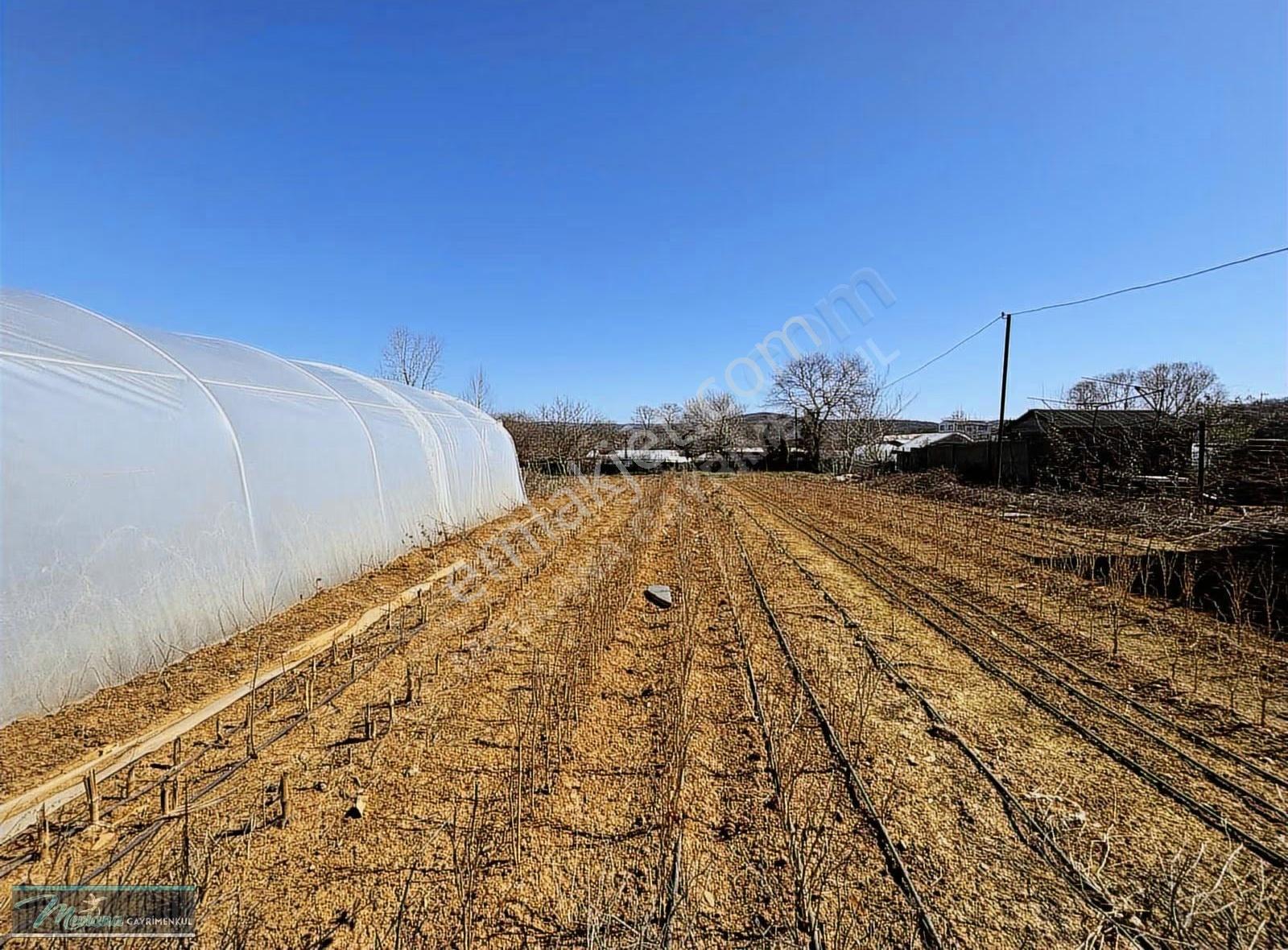 Gebze Kadıllı'da Satılık 1.200 M² Konut İmarlı Arsa