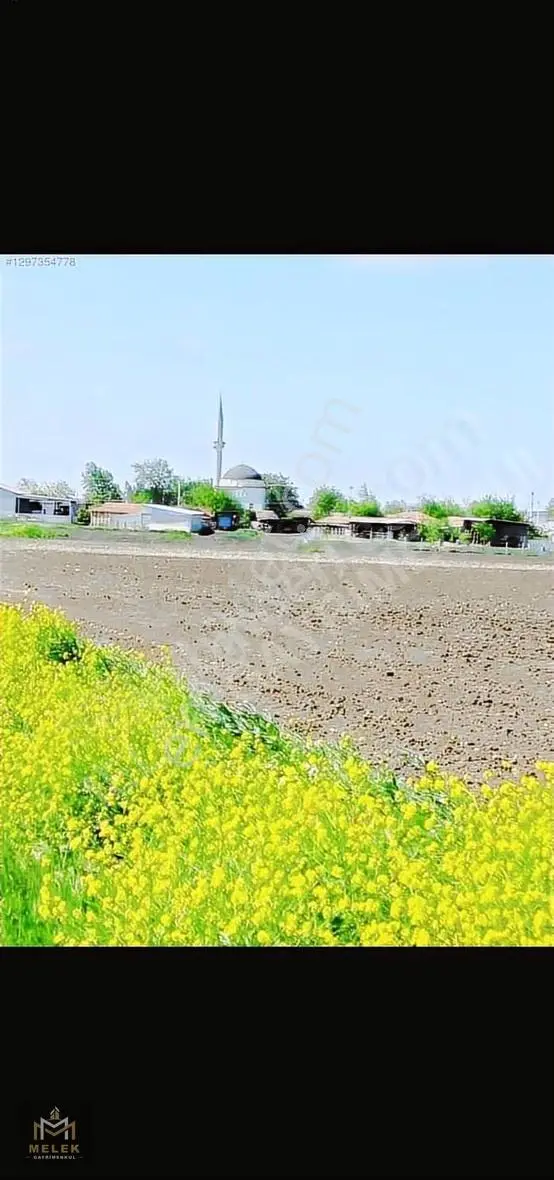 Tekirdag Saray Da Satılık 250.m2 Tarla