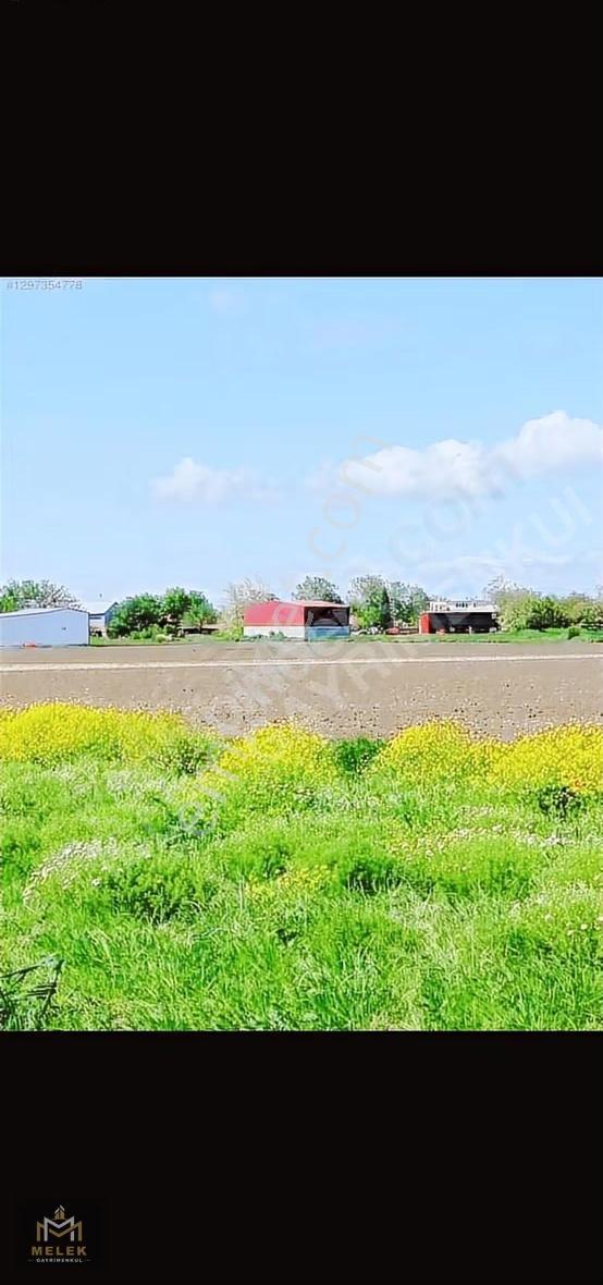 Tekirdag Saray Da Satılık 250.m2 Tarla - Görsel 7