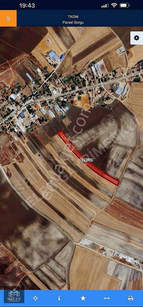 Tekirdag Saray Da Satılık 250.m2 Tarla - Görsel 3
