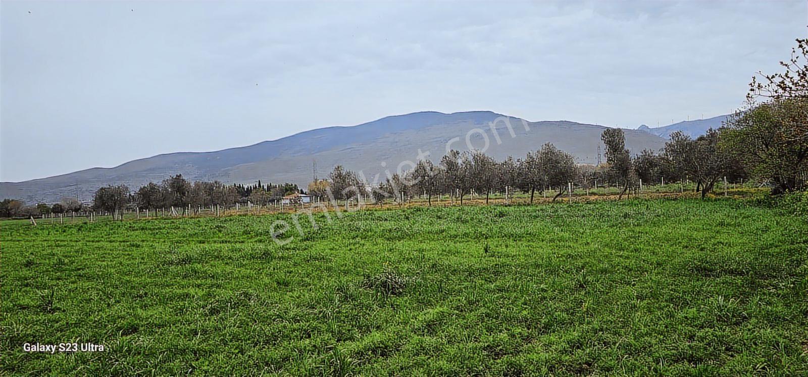 Çanakkale Yoluna 350 Metre Mesafede Açık Depo - Görsel 10
