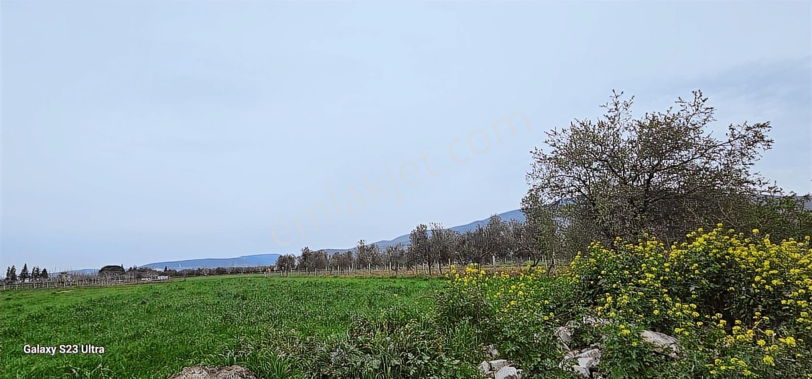 Çanakkale Yoluna 350 Metre Mesafede Açık Depo - Görsel 2