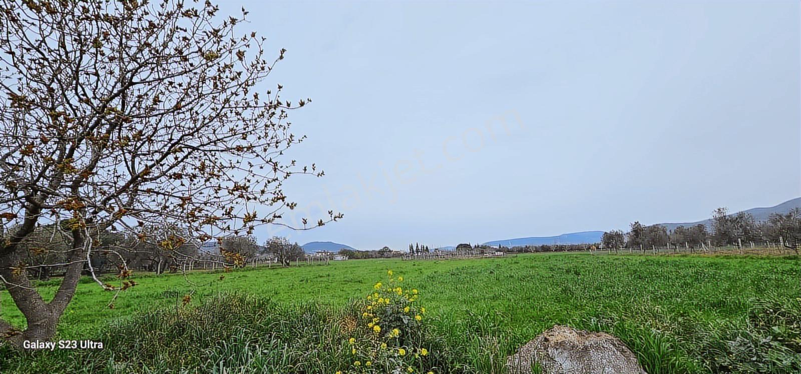 Çanakkale Yoluna 350 Metre Mesafede Açık Depo - Görsel 3