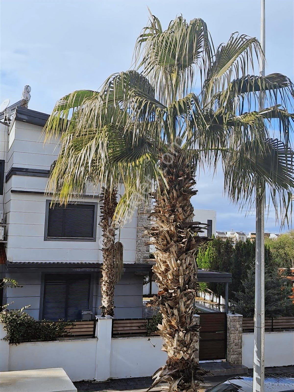 Kiralık Lux 4+1 Özel Havuzlu Villa - Görsel 12
