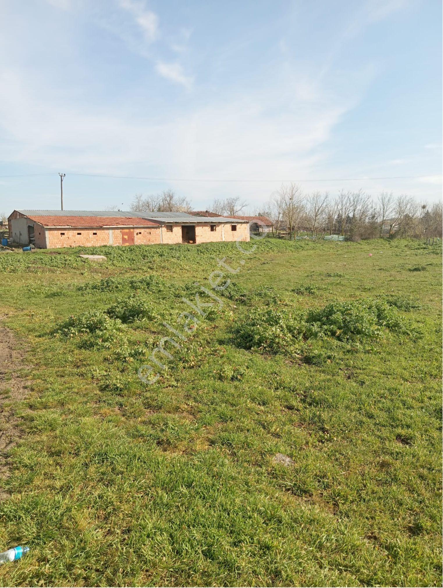 Kırklareli Lüle Burgazda Yatırımlık Arsa - Görsel 6