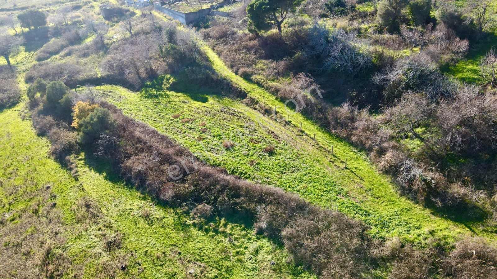 Bandırma Çakıl Köyünde Dört Ayrı Tapulu 785m2 Satılık Arsa - Görsel 7