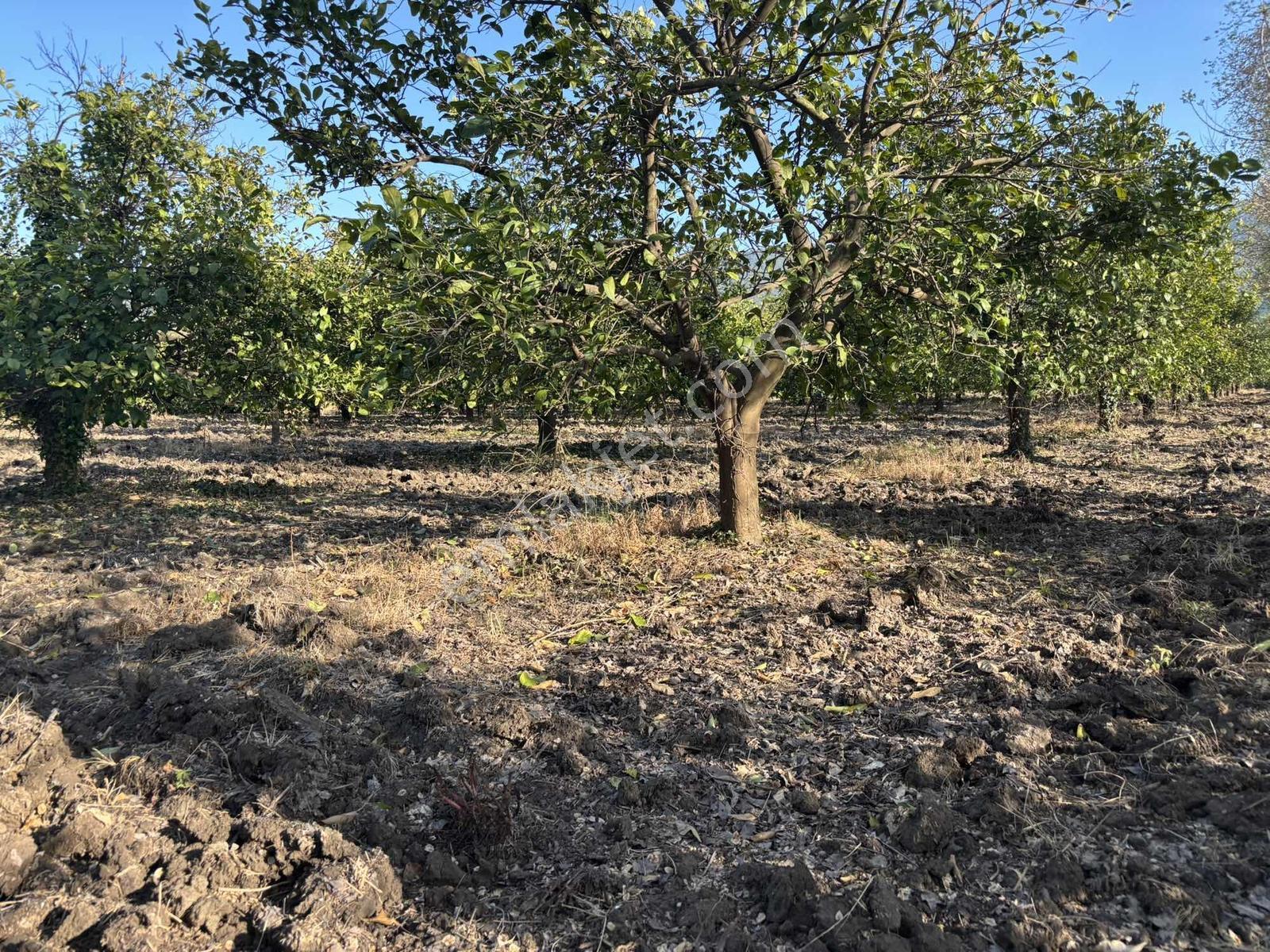 Nysa Emlak'tan 753 M2 / 250 M2 İnşaat İzinli Satılık Arsa - Görsel 12