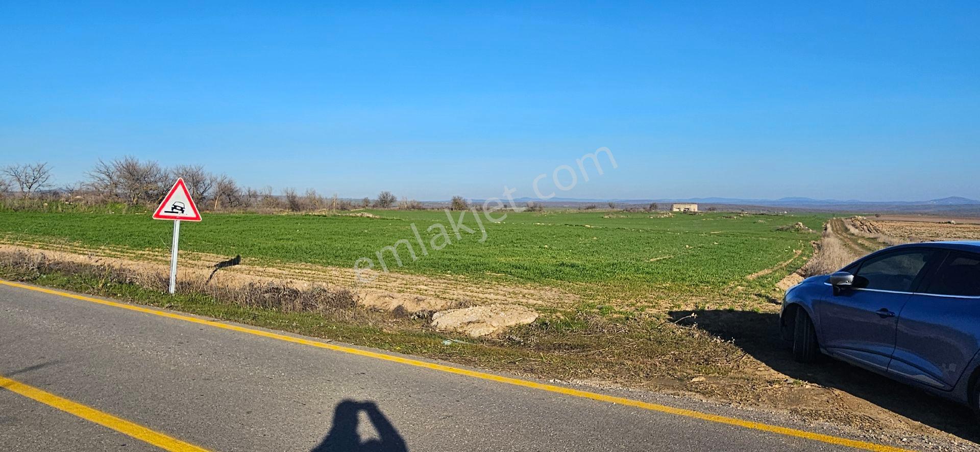 Süloğlu Tatarlar 2.953 M2 - Görsel 16