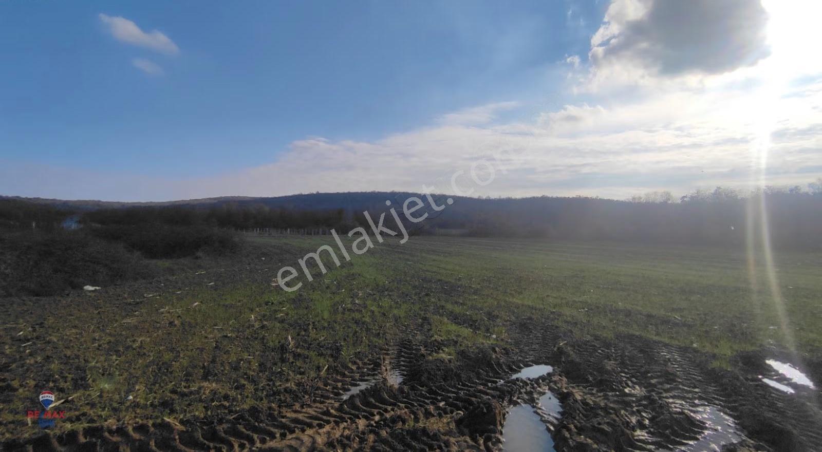 Sakarya Kaynarca'da 1400 M2 Si %40 İmarlı Harika Arazi - Görsel 8