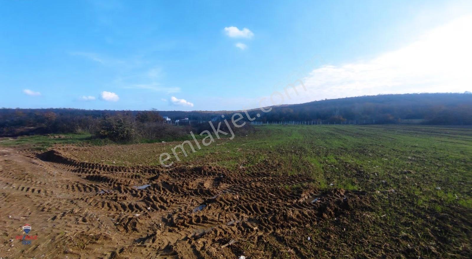 Sakarya Kaynarca'da 1400 M2 Si %40 İmarlı Harika Arazi - Görsel 6