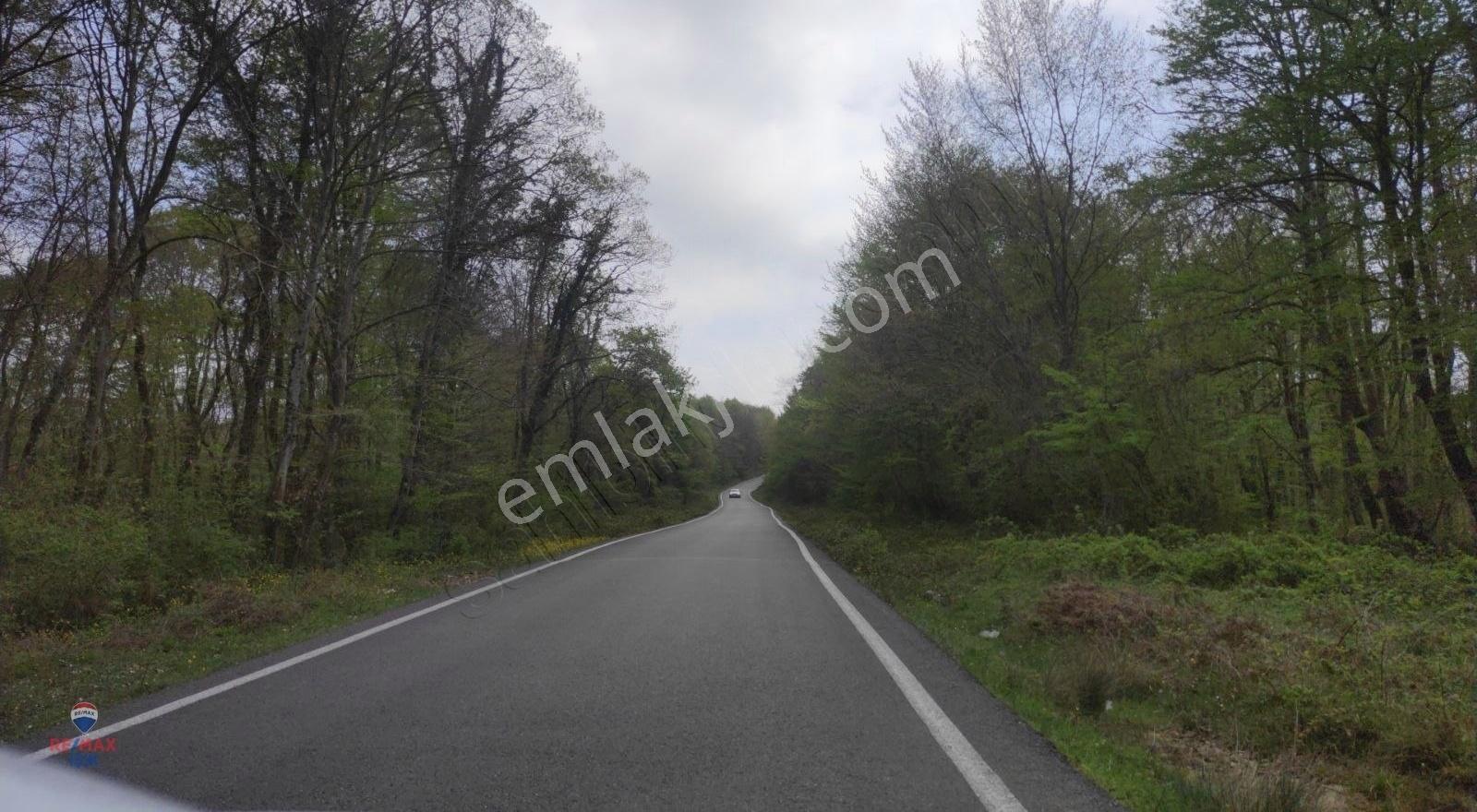 Sakarya Kaynarca'da 1400 M2 Si %40 İmarlı Harika Arazi - Görsel 3