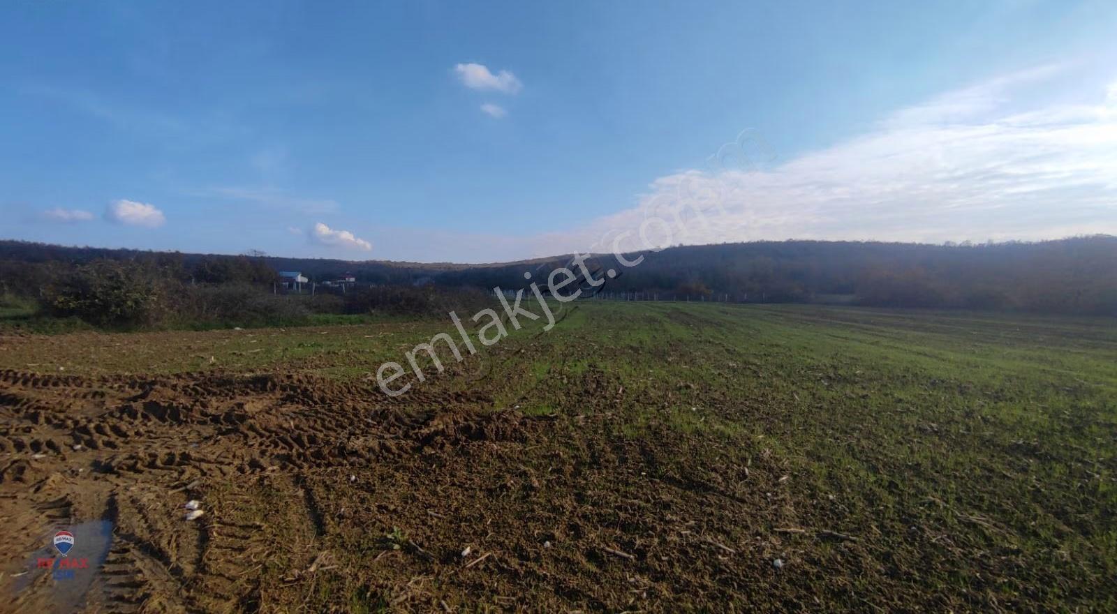 Sakarya Kaynarca'da 1400 M2 Si %40 İmarlı Harika Arazi - Görsel 11