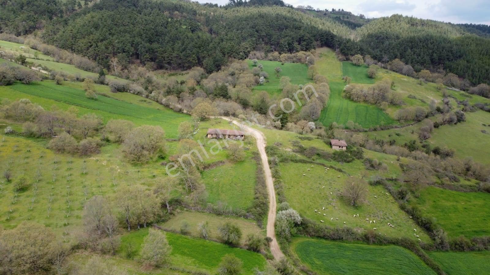 Yenice Çakır'da Konut İmarlı Satılık 357 M2 Yola Cepheli Arsa - Görsel 6