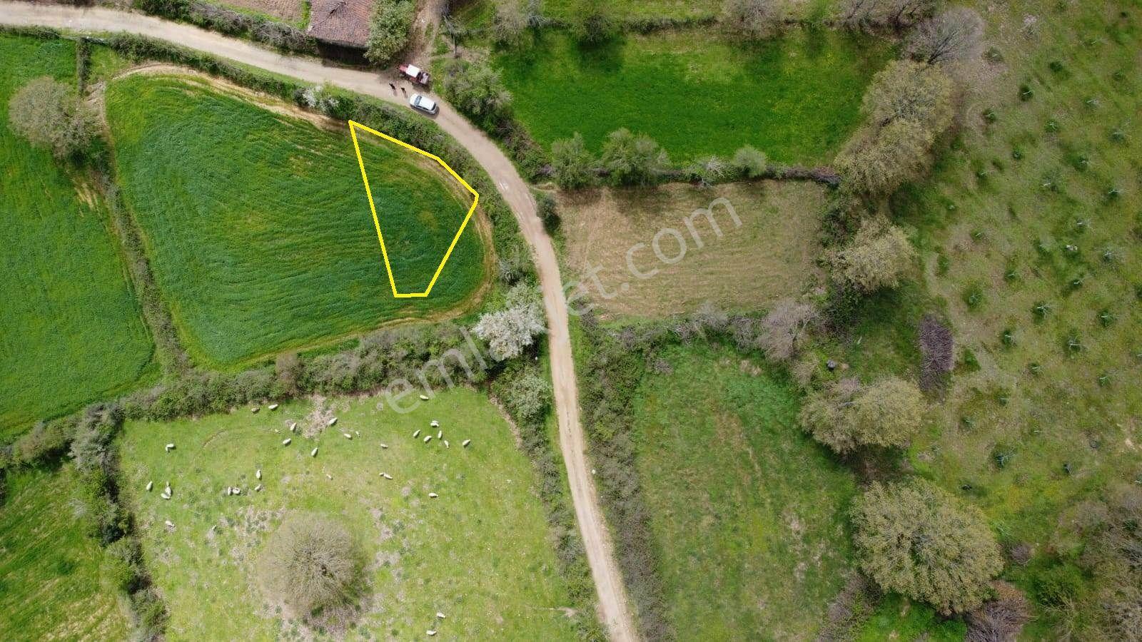 Yenice Çakır'da Konut İmarlı Satılık 357 M2 Yola Cepheli Arsa - Görsel 3