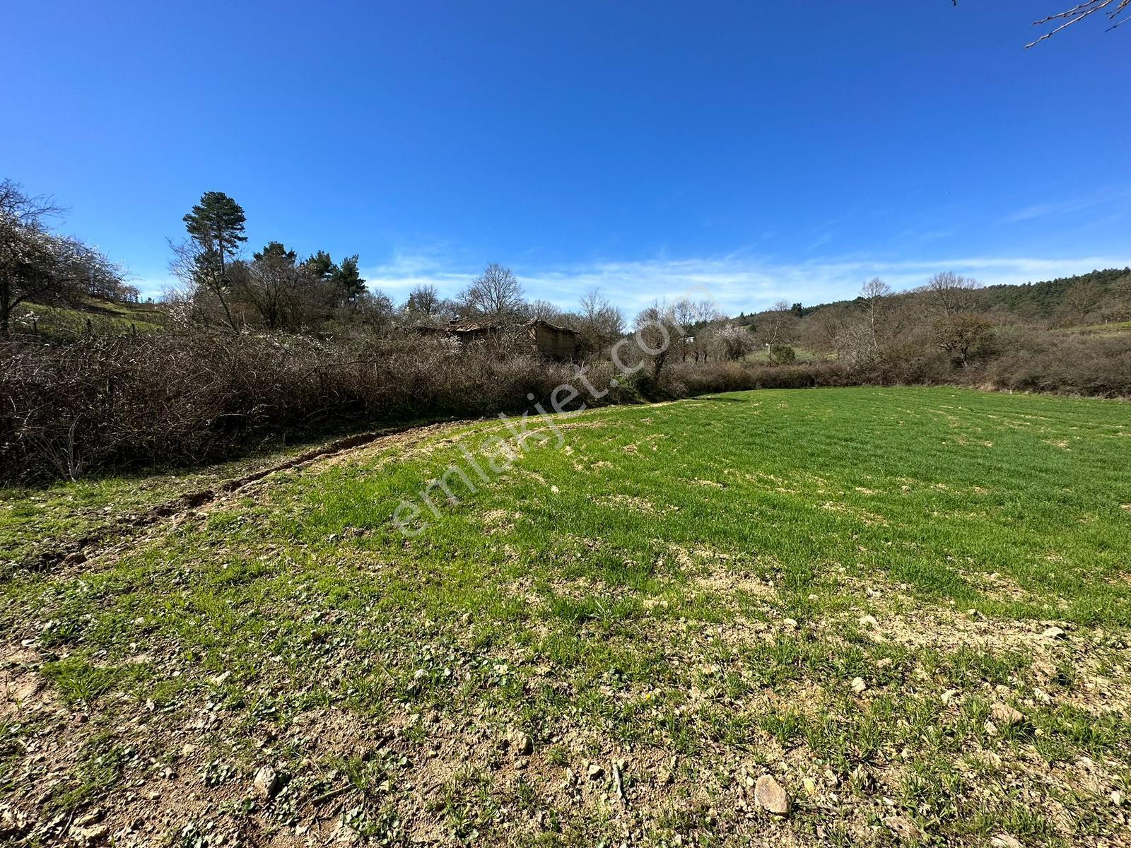 Yenice Çakır'da Konut İmarlı Satılık 357 M2 Yola Cepheli Arsa - Görsel 7