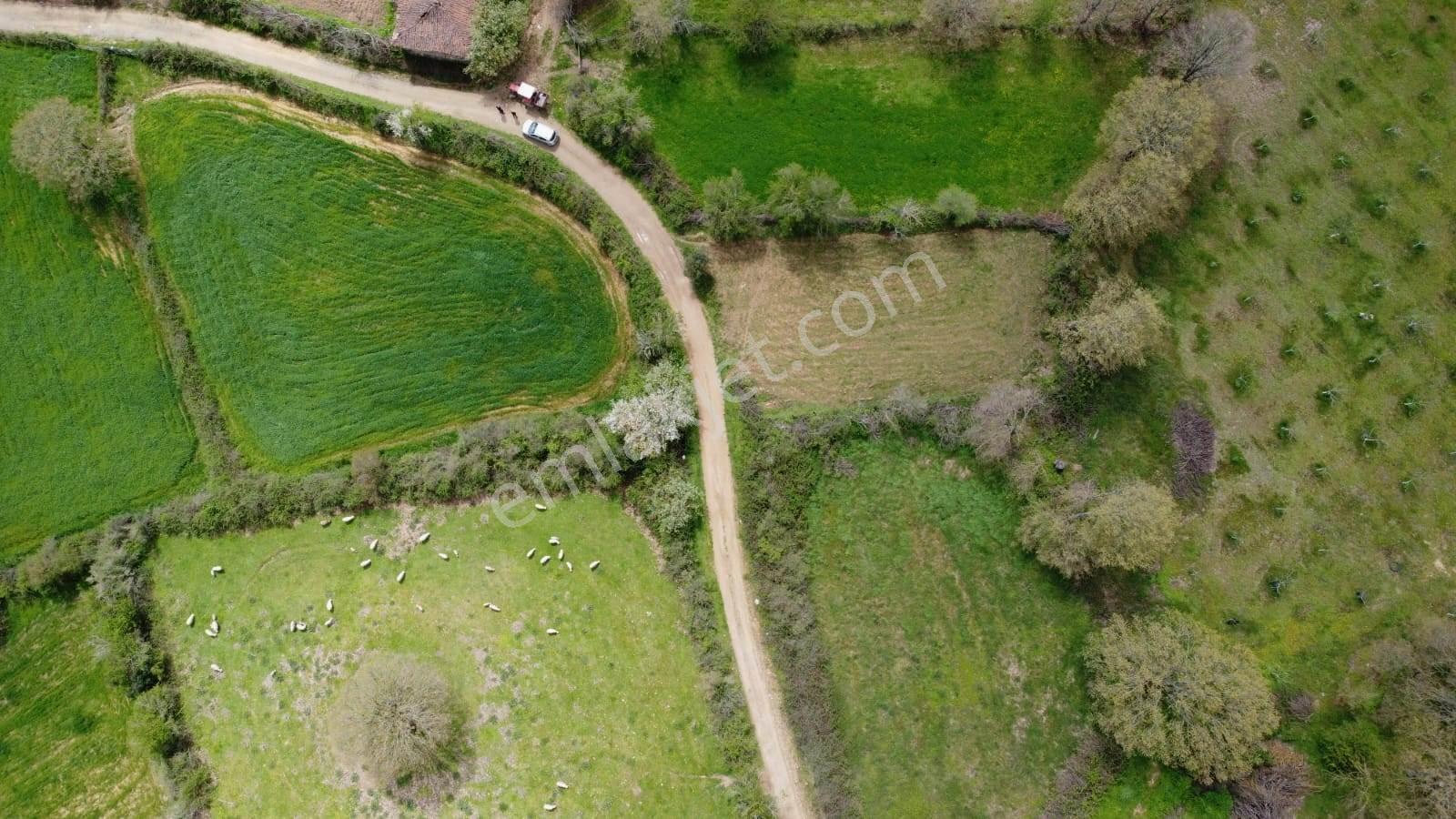 Yenice Çakır'da Konut İmarlı Satılık 357 M2 Yola Cepheli Arsa - Görsel 2