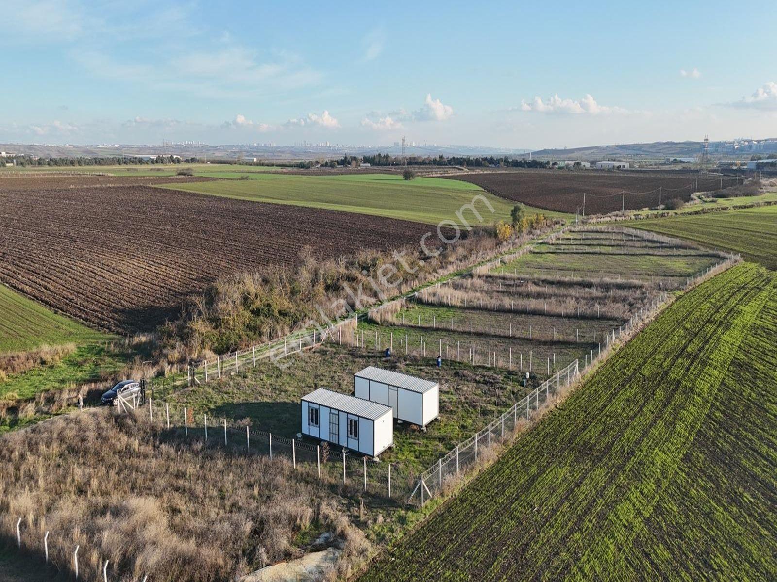 Çatalca İzzettin Mahallesi Merkeze Yakın 650m2 Fırsat Tarla !!! - Görsel 8