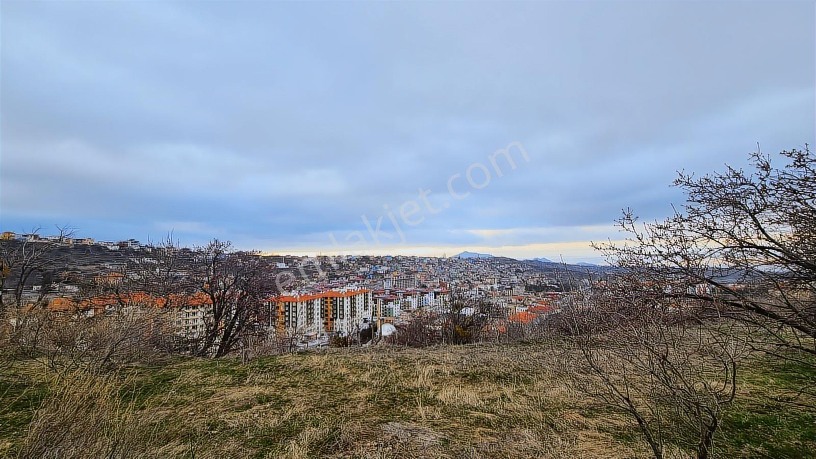 Hacılar Mükemmel Lokasyonda 501m2 Temiz Villa Arsası - Görsel 2