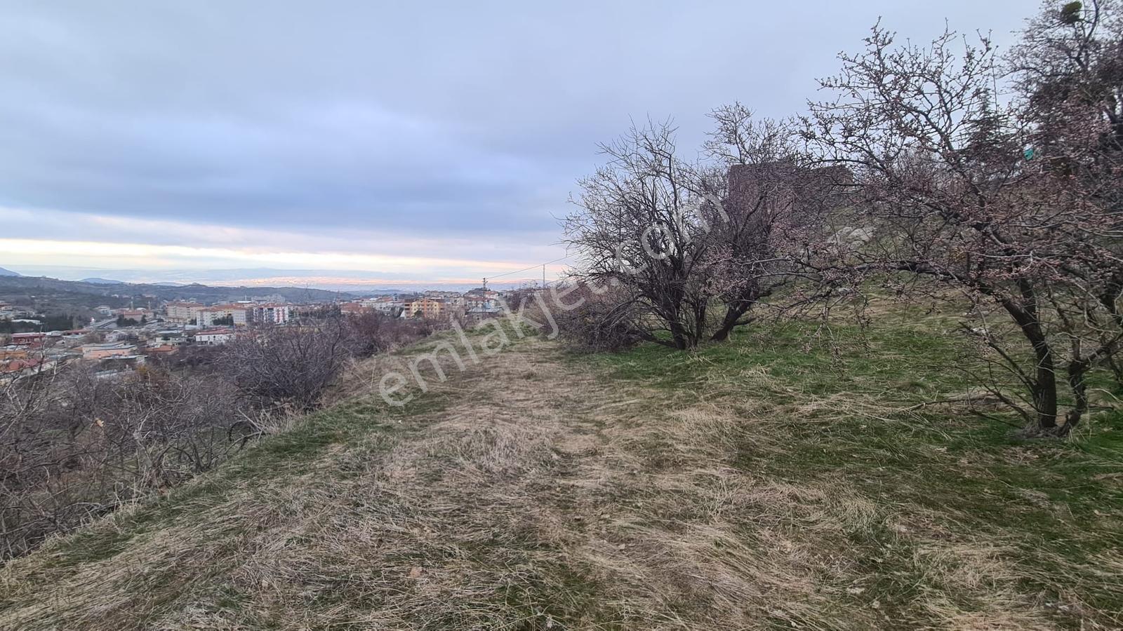 Hacılar Mükemmel Lokasyonda 501m2 Temiz Villa Arsası - Görsel 5