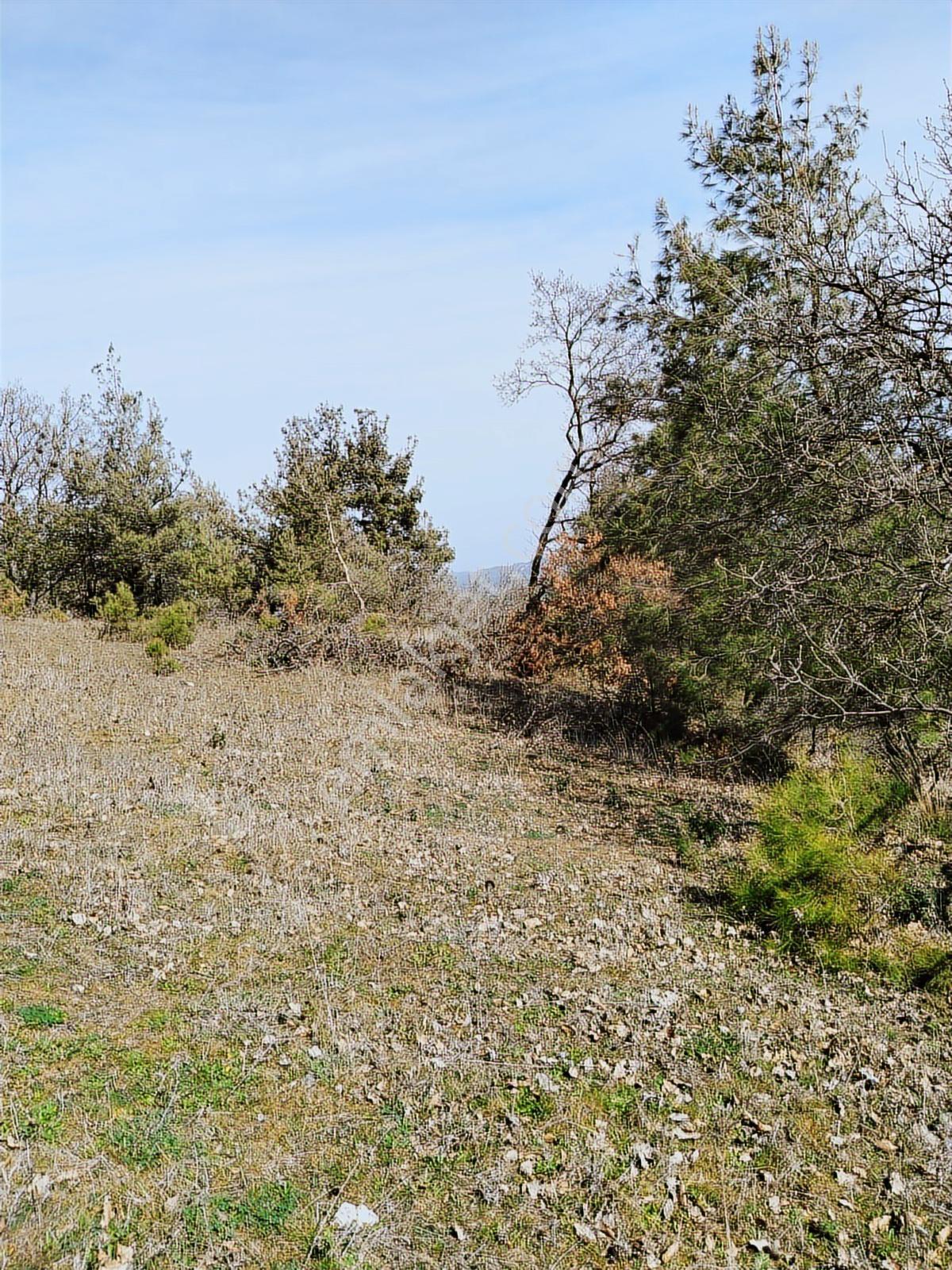 Çanakkale Merkez Köyünde İmara Çok Yakın 3255 M2 Müstakil Tarla - Görsel 11