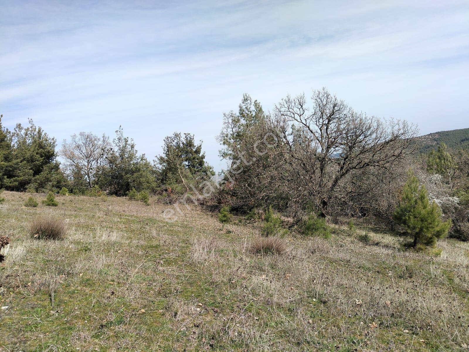 Çanakkale Merkez Köyünde İmara Çok Yakın 3255 M2 Müstakil Tarla - Görsel 7