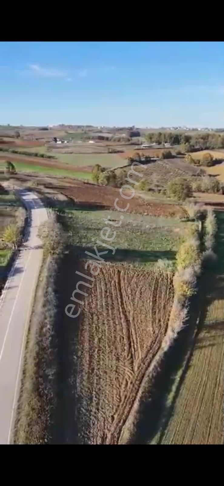 İzmit Yenice'de Göl Manzaralı Yola Bir Parsel - Görsel 18