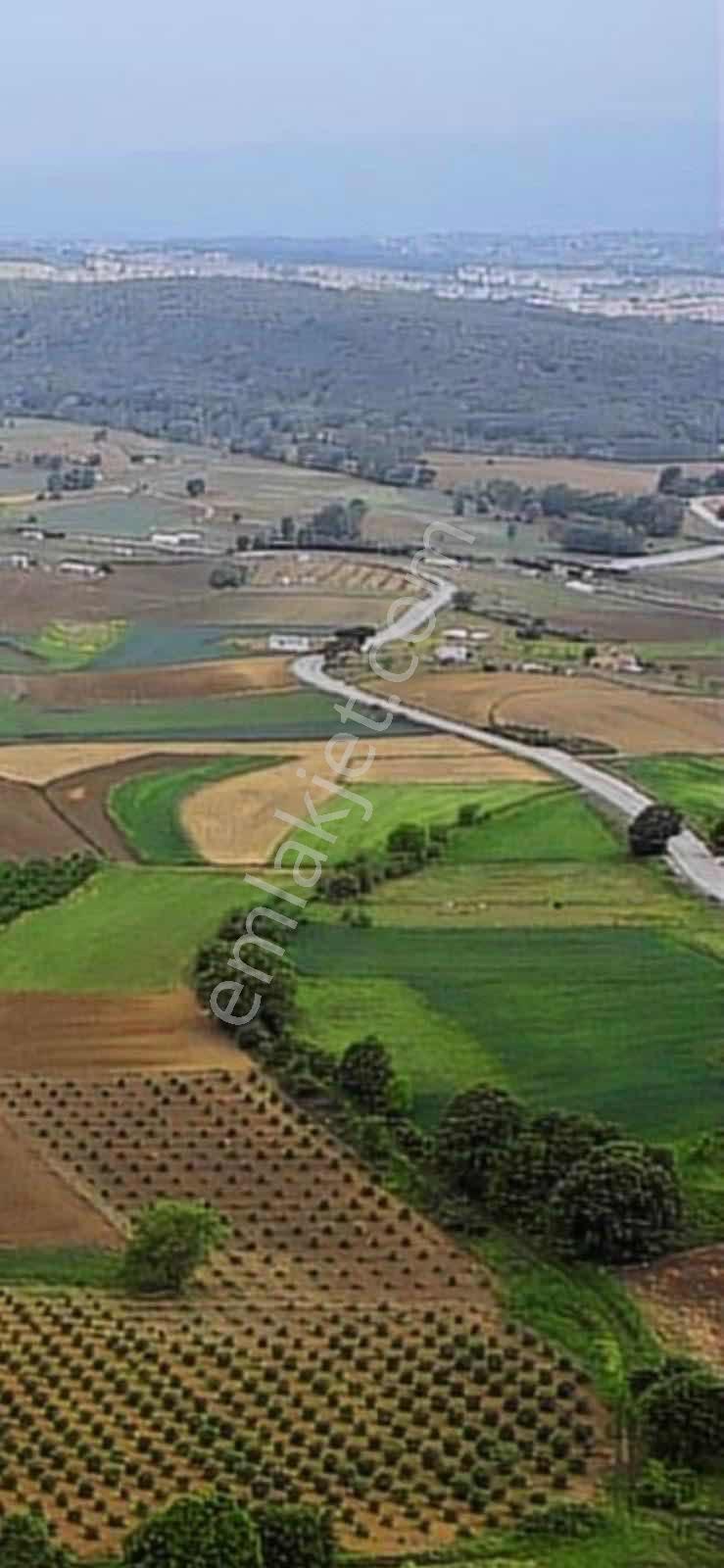 İzmit Yenice'de Göl Manzaralı Yola Bir Parsel - Görsel 13
