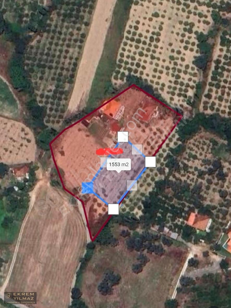 Köyceğiz Yangı Mahalesi 1550 M² Hisseli Rızai Taksim Yapılmış