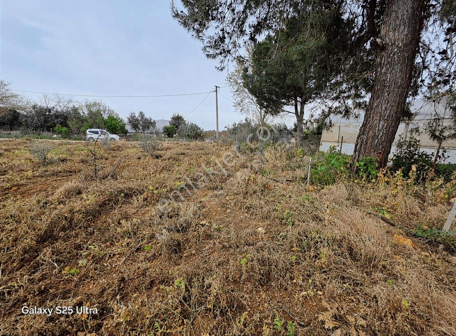 KEPEZ GAZİLER'DE SATILIK ECRİMİSİLİ ÖDENMİŞ 1023 M2 2B BAHÇE. - Görünüm 2