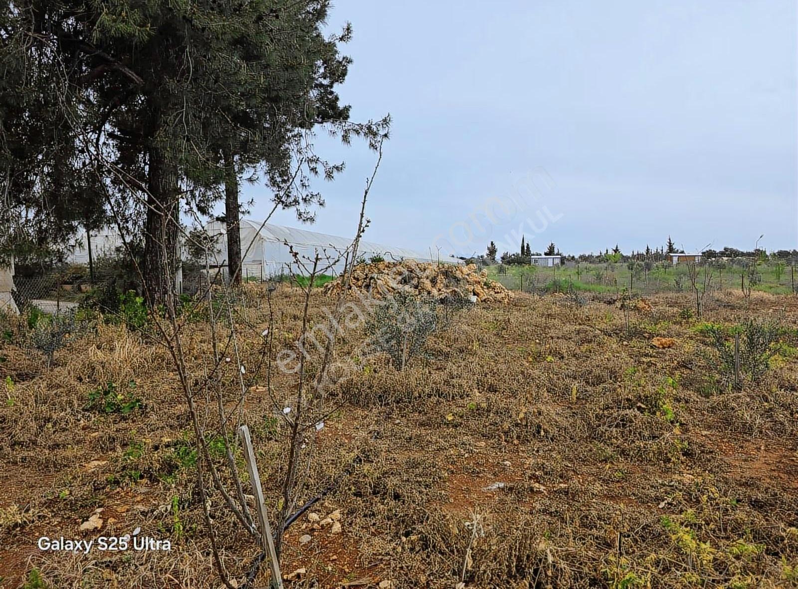 KEPEZ GAZİLER'DE SATILIK ECRİMİSİLİ ÖDENMİŞ 1023 M2 2B BAHÇE. - Görünüm 5