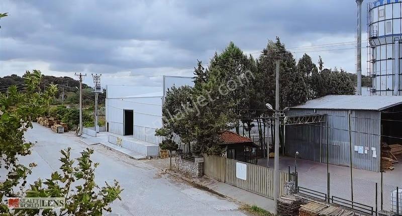 Tekeler Mahallesi Keresteciler Sitesinde 1000 M2 Kiralık Depo - Görsel 3