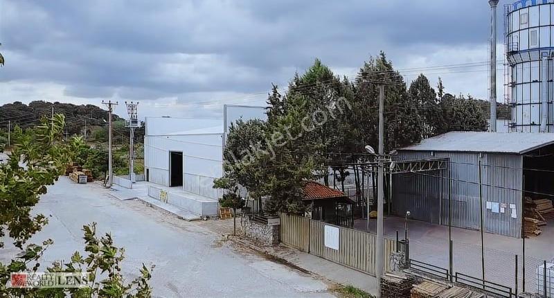 Tekeler Mahallesi Keresteciler Sitesinde 1000 M2 Kiralık Depo - Görsel 13