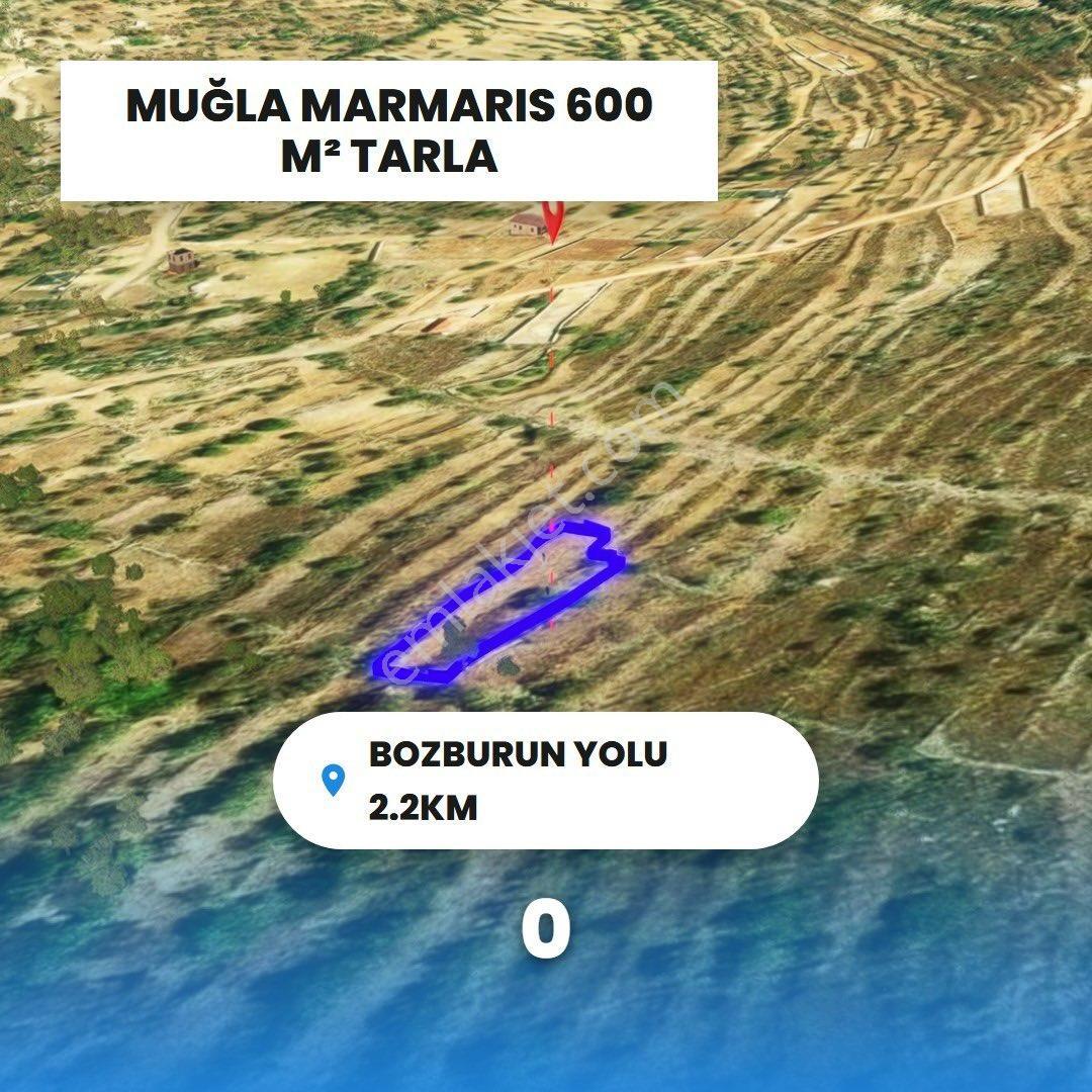 Söğüt’te Denize Yakın Yatırım Fırsatı - Görsel 3