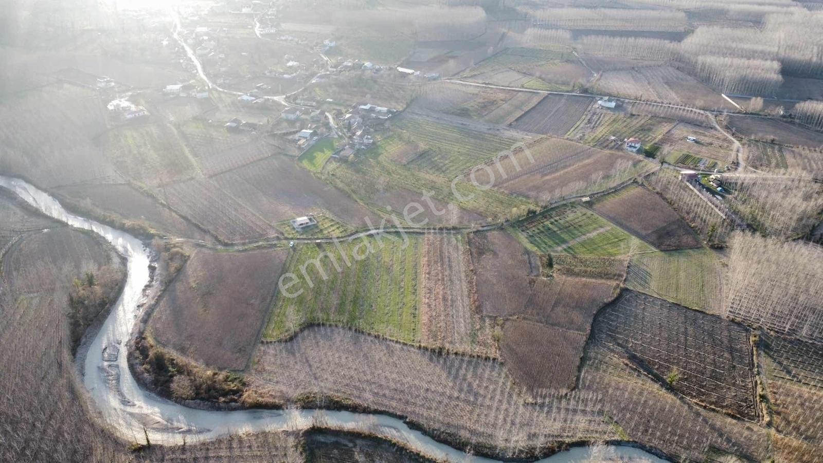 Sancak Emlak'tan Satılık 10 Dönüm Kavak Tarlası - Görsel 5