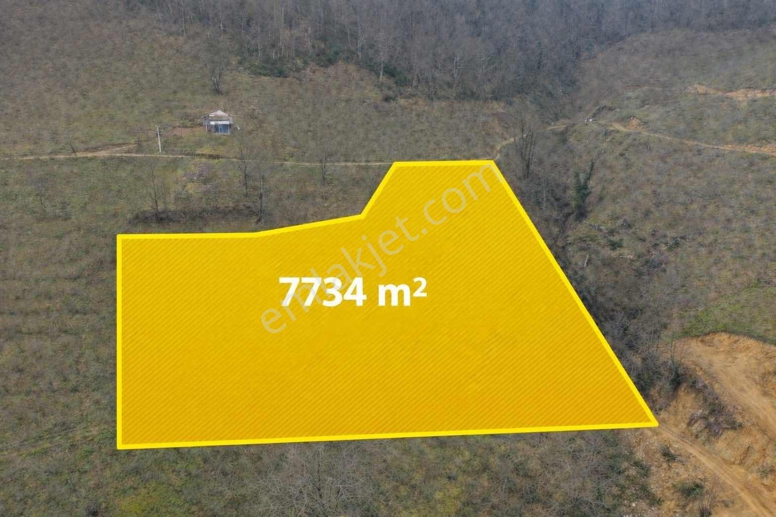 Sancak Emlaktan Ballıkayada 7734 M2 Delisavar Fındıklık