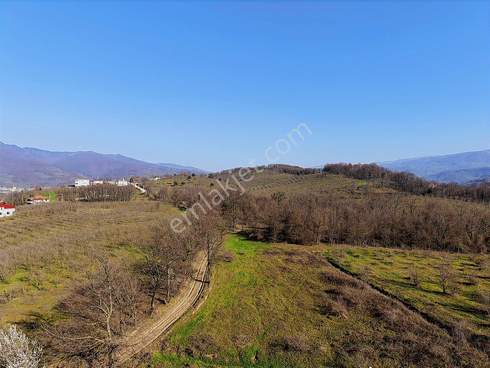 Sancak Emlak'tan Topçusırtında Satılık 17.391m2 Satılık Fındıklı - Görsel 8