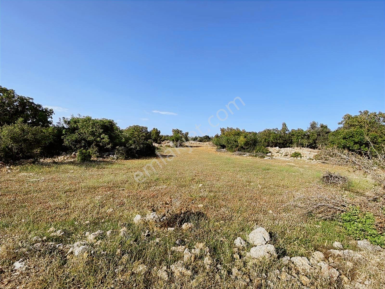 Erdemli Esenpınarda 3.653 M² Yatırımlık Tarla - Görsel 10