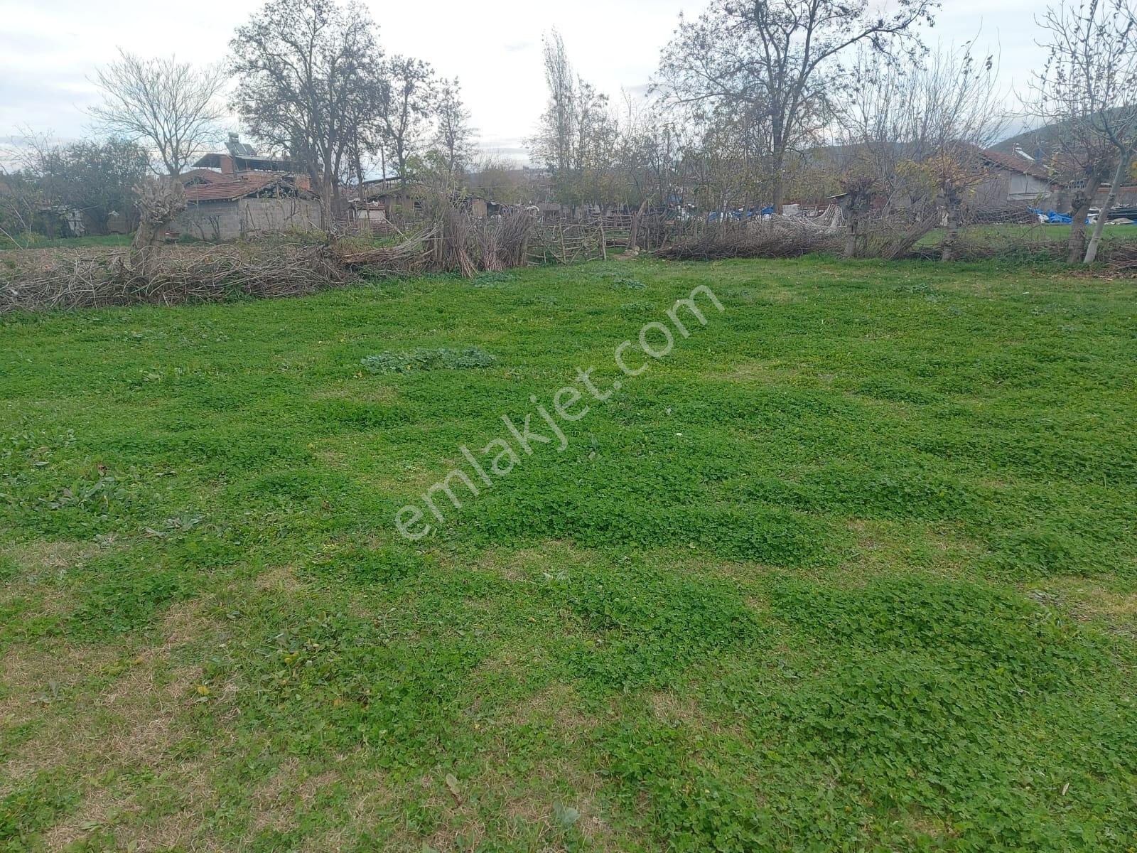 Bursa Üçbeyli Köyü 2.200 M2 Bahçeli Müstakil Köy Evi - Görsel 10