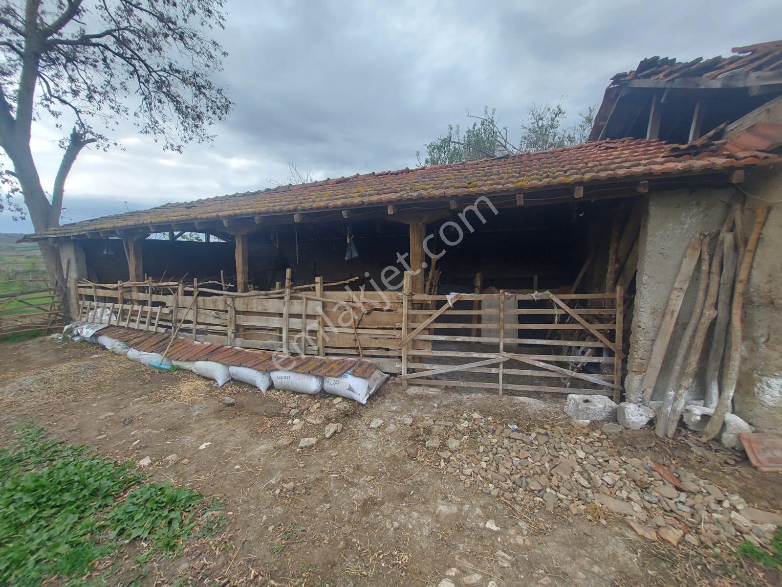 Bursa Üçbeyli Köyü 2.200 M2 Bahçeli Müstakil Köy Evi - Görsel 20