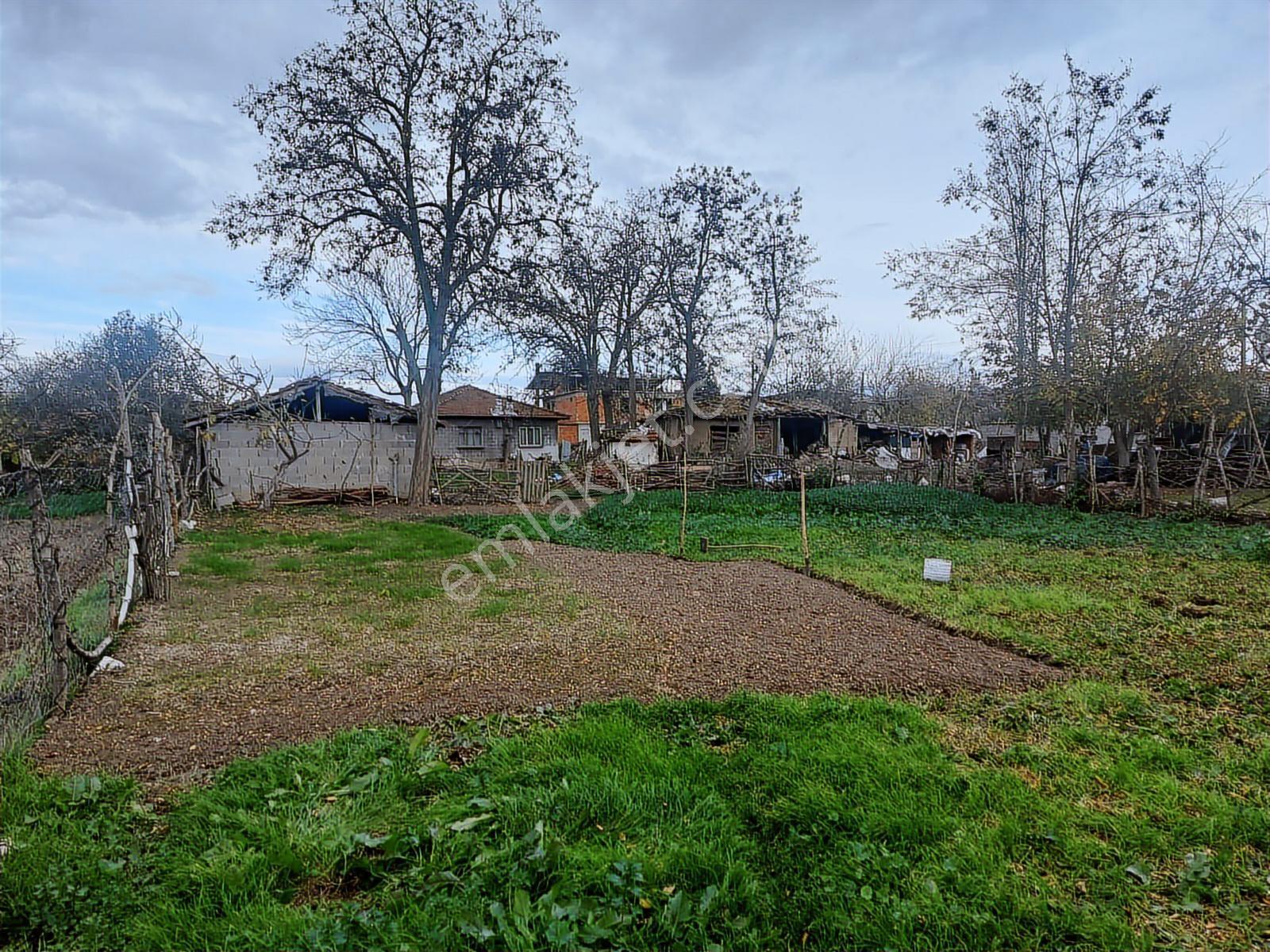 Bursa Üçbeyli Köyü 2.200 M2 Bahçeli Müstakil Köy Evi - Görsel 3