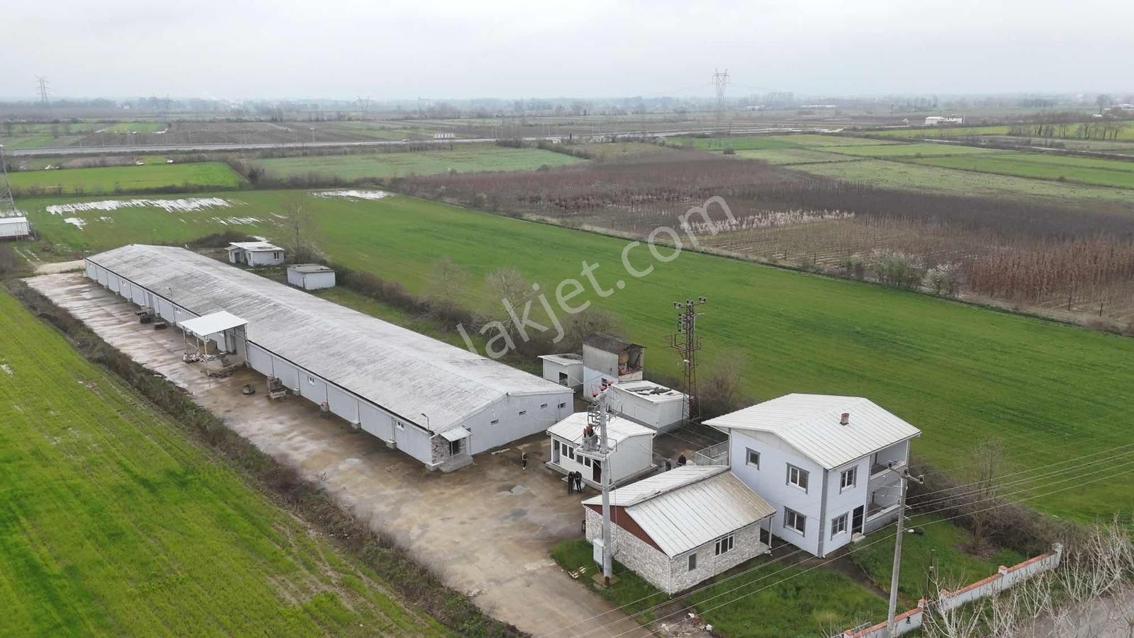 Yön Group'tan Kiralık Depo&antrepo