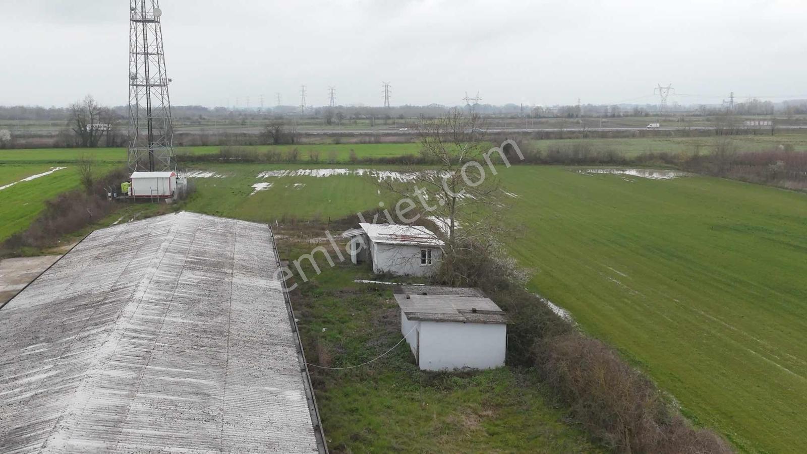 Yön Group'tan Kiralık Depo&antrepo - Görsel 19