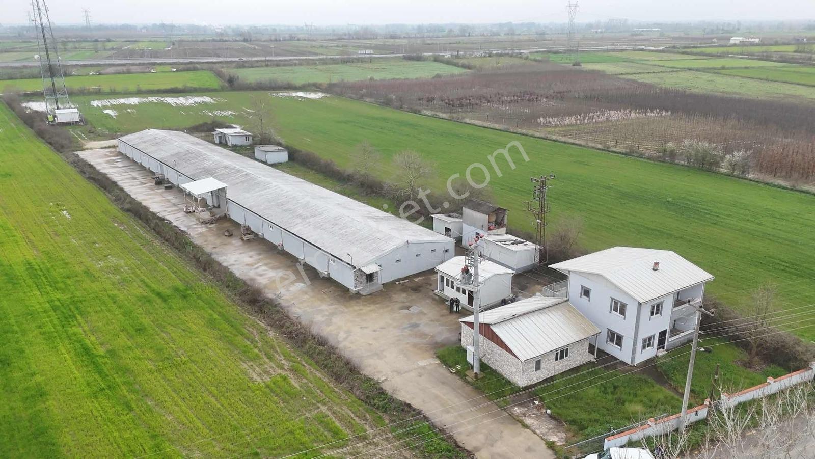 Yön Group'tan Kiralık Depo&antrepo - Görsel 27