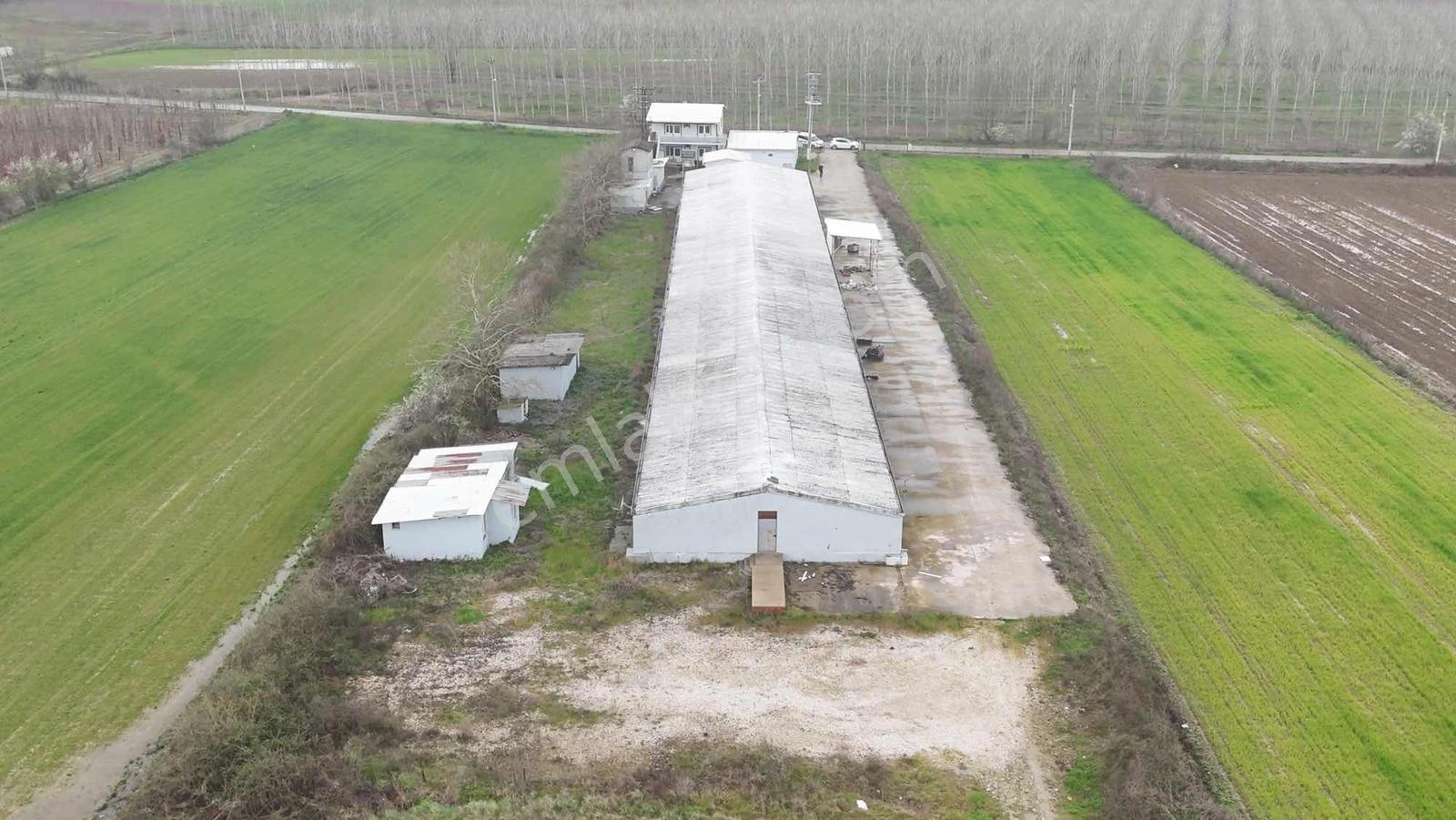 Yön Group'tan Kiralık Depo&antrepo - Görsel 23