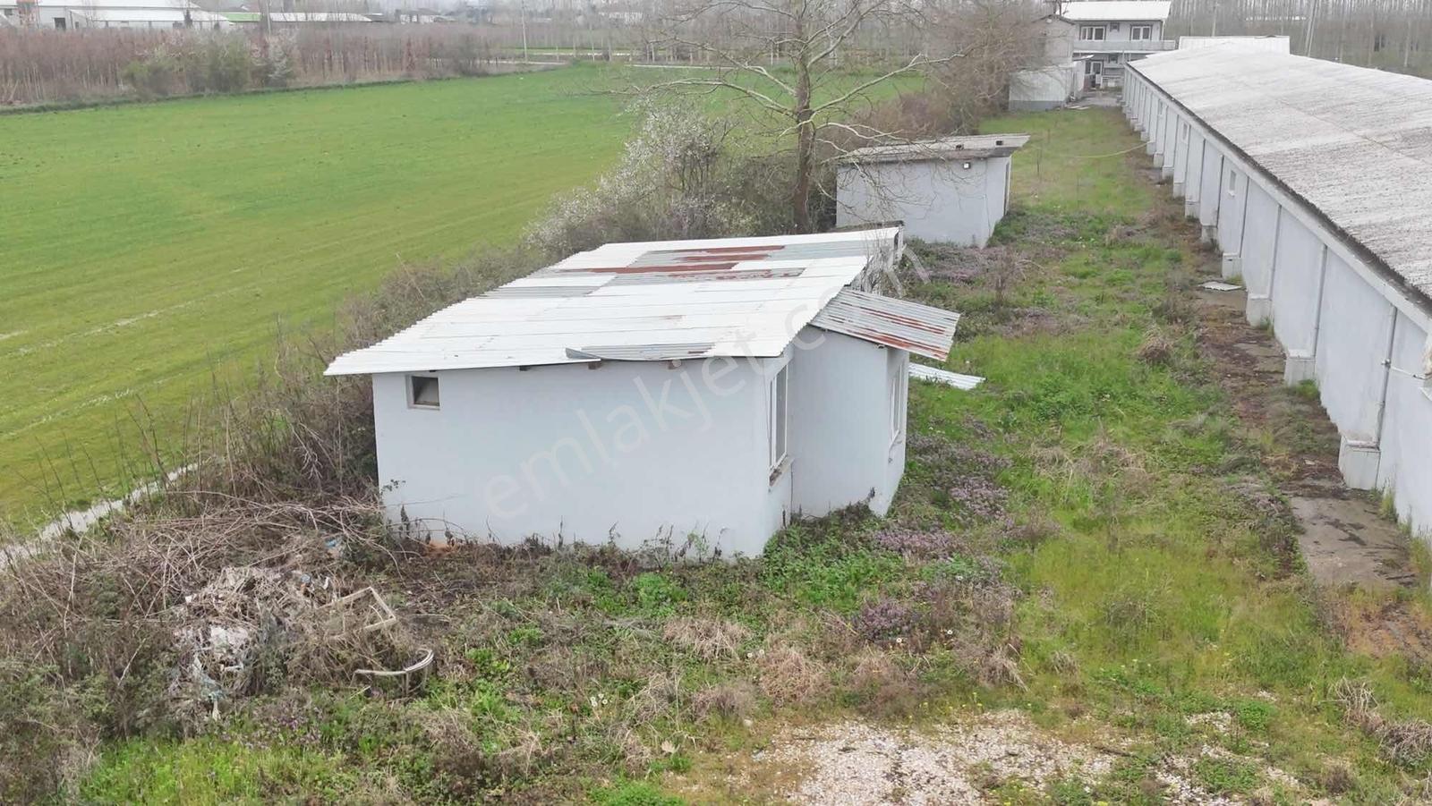 Yön Group'tan Kiralık Depo&antrepo - Görsel 22