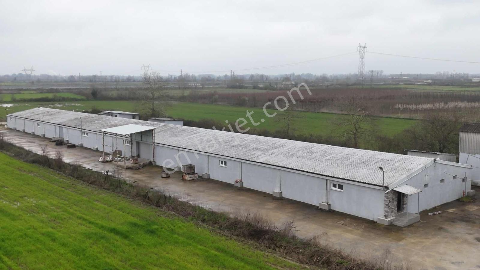 Yön Group'tan Kiralık Depo&antrepo - Görsel 15