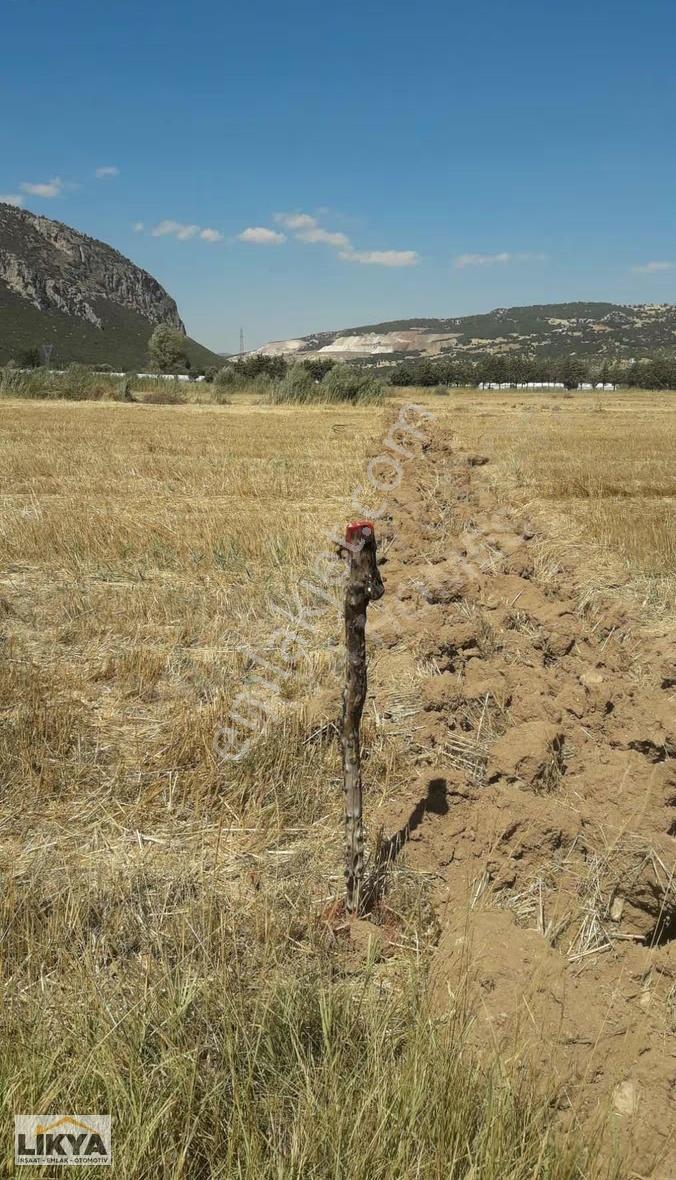 Seki'de Satılık 10157 M2 Düz Tarla - Görsel 13