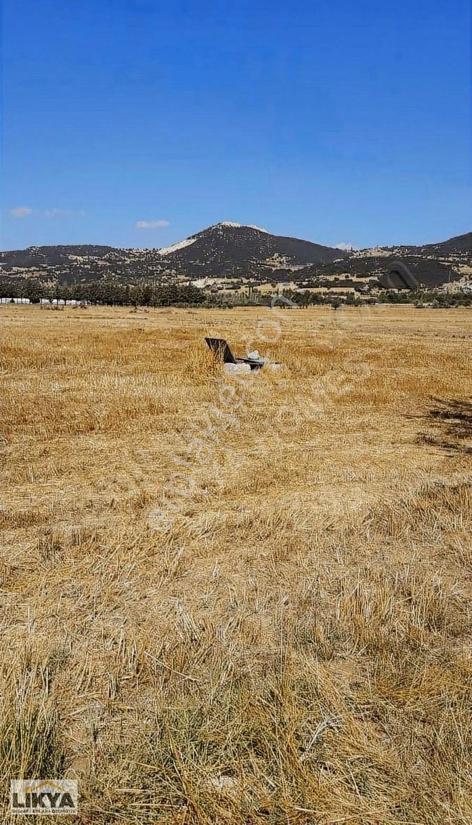 Seki'de Satılık 10157 M2 Düz Tarla
