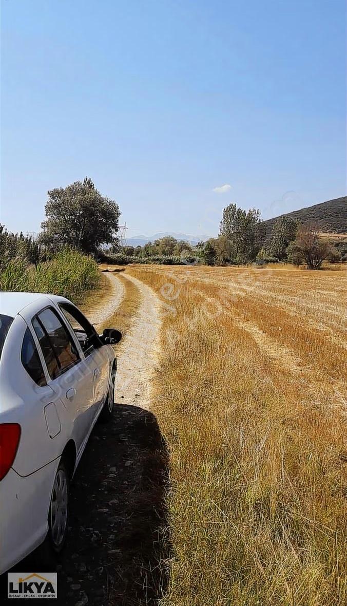 Seki'de Satılık 10157 M2 Düz Tarla - Görsel 4
